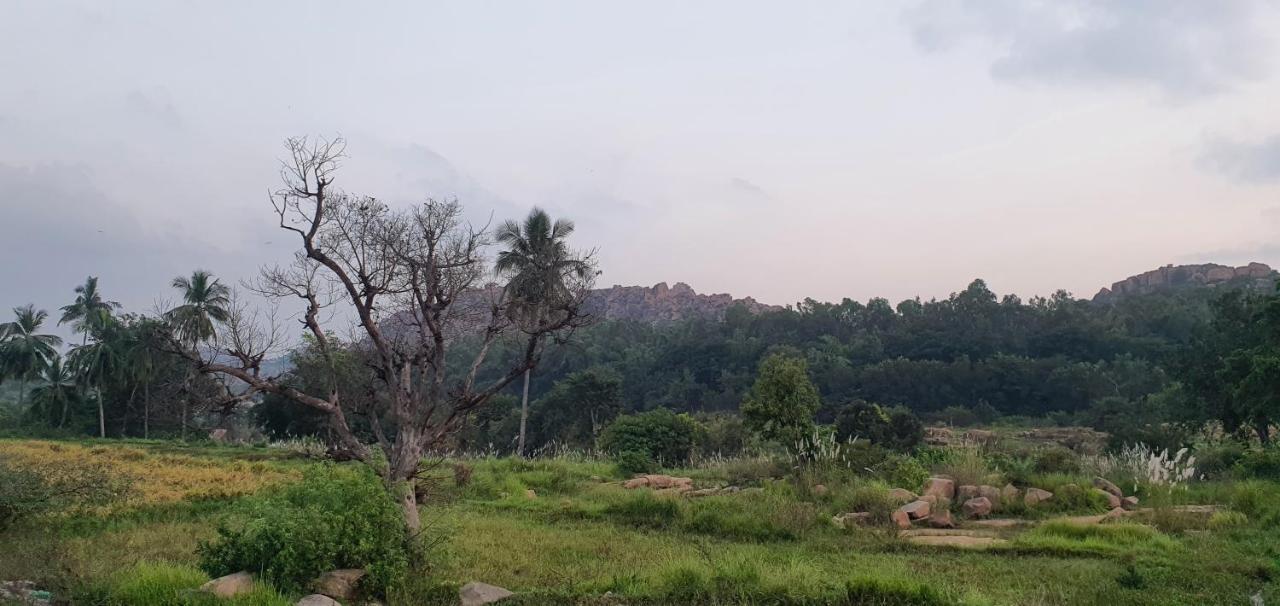 Lazy Panda Hotel Hampi Ngoại thất bức ảnh